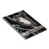 nieuwsgierige koala notitieboek (Rechterzijde)