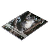 nieuwsgierige koala notitieboek (Linkerzijde)