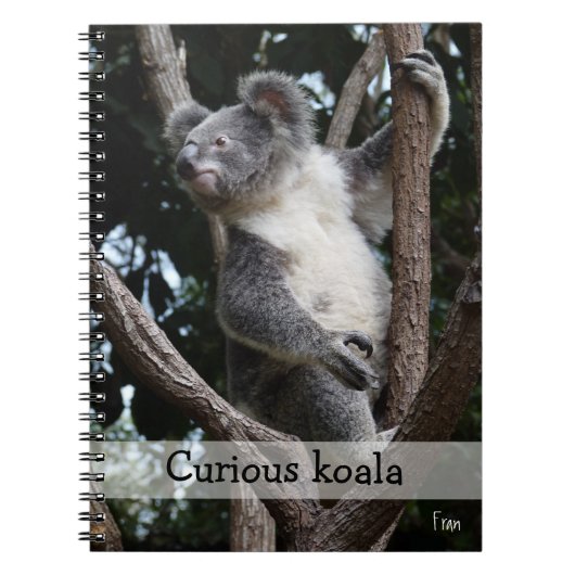 nieuwsgierige koala notitieboek (Voorkant)