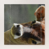 Nieuwsgierige Koe die door een gestreepte draadhek Legpuzzel (Horizontaal)