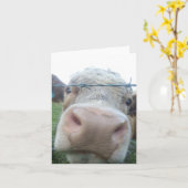 nieuwsgierige koe kaart (Gele Bloem)