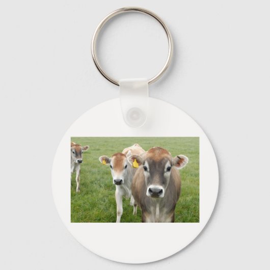 Nieuwsgierige koeien sleutelhanger (Voorkant)