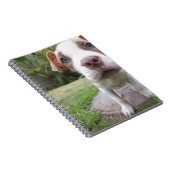 nieuwsgierige papaver notitieboek (Rechterzijde)