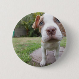 nieuwsgierige papaver ronde button 5,7 cm