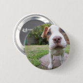 nieuwsgierige papaver ronde button 5,7 cm (Voorkant /achterkant)