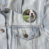 nieuwsgierige papaver ronde button 5,7 cm (In situ)