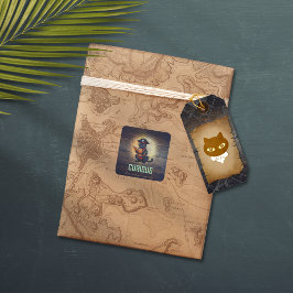 Nieuwsgierige piraat kat ontcijfert oude mysteries vierkante sticker