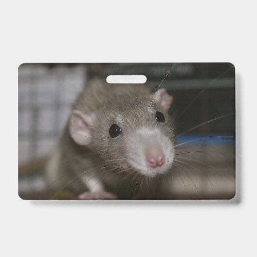 Nieuwsgierige Rat Badge (Voorzijde)