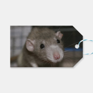 Nieuwsgierige Rat Cadeaulabel