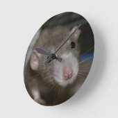 Nieuwsgierige Rat Ronde Klok (Hoek)