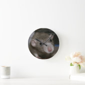 Nieuwsgierige Rat Ronde Klok (Huis)