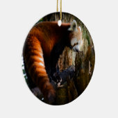 nieuwsgierige rode panda keramisch ornament (Rechts)