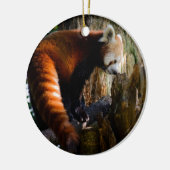 nieuwsgierige rode panda keramisch ornament (Links)