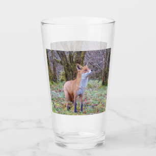 Nieuwsgierige Rode Vos Kijkt Omhoog Bos Dieren Kun Glas