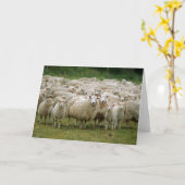 nieuwsgierige schapen kaart (Gele Bloem)