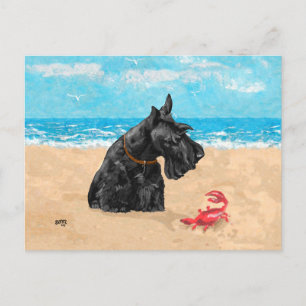 Nieuwsgierige Scottie op het Strand Briefkaart