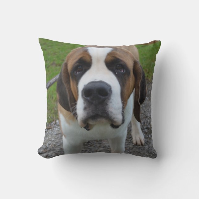 Nieuwsgierige St Bernard Kussen (Voorkant)