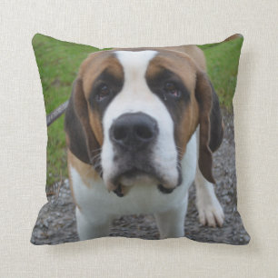 Nieuwsgierige St Bernard Kussen