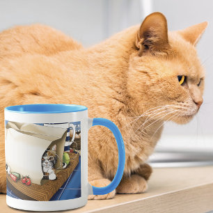 Nieuwsgierige tabbykat boodschappentas blauw leuk mok
