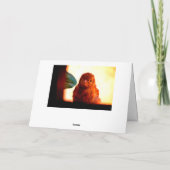 nieuwsgierige vink kaart (Achterkant)