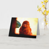 nieuwsgierige vink kaart (Gele Bloem)