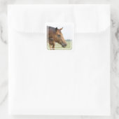 Nieuwsgierige volbloed Stickers (Tas)