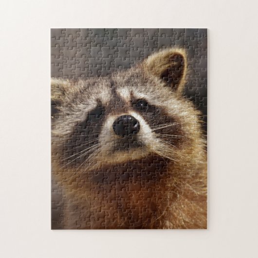 Nieuwsgierige wasbeer legpuzzel (Verticaal)