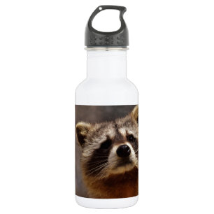 Nieuwsgierige Wasbeer Waterfles