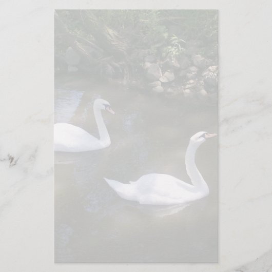 Nieuwsgierige zwanen briefpapier (Voorkant)