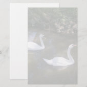 Nieuwsgierige zwanen briefpapier (Voorkant / Achterkant)