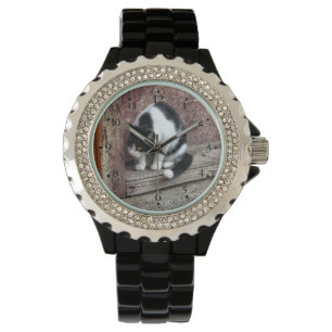 Nieuwsgierige zwart-witte kat horloge