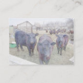 Nieuwsgierige zwarte angus visitekaartje (Achterkant)