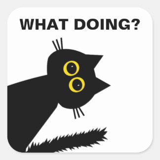 Nieuwsgierige zwarte kat 3-inch stickers