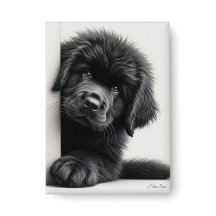 Nieuwsgierige zwarte Newfoundlander puppy gluurt