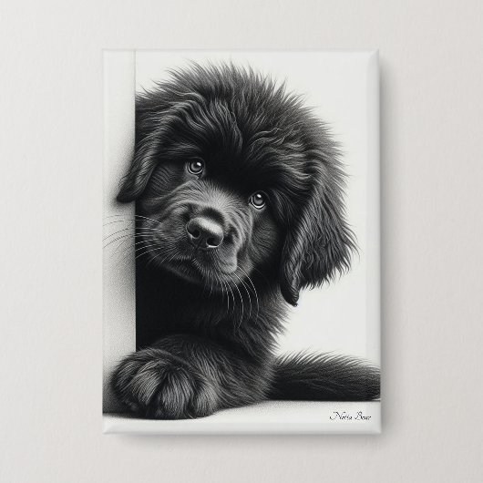 Nieuwsgierige zwarte Newfoundlander puppy gluurt Button (Voorkant)