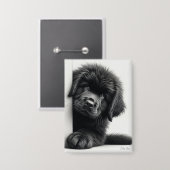 Nieuwsgierige zwarte Newfoundlander puppy gluurt Button (Voorkant / Achterkant)
