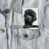 Nieuwsgierige zwarte Newfoundlander puppy gluurt Button (Insitu)