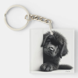 Nieuwsgierige zwarte Newfoundlander puppy gluurt Sleutelhanger