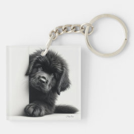 Nieuwsgierige zwarte Newfoundlander puppy gluurt Sleutelhanger