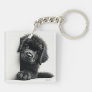 Nieuwsgierige zwarte Newfoundlander puppy gluurt Sleutelhanger