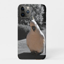Nieuwsgierige Zwavelkuifkaketoe Case-Mate iPhone Case