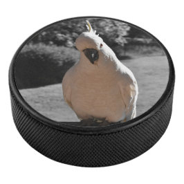 Nieuwsgierige Zwavelkuifkaketoe Hockey Puck