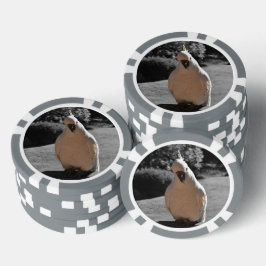 Nieuwsgierige Zwavelkuifkaketoe Poker Chips