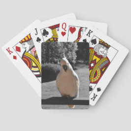 Nieuwsgierige Zwavelkuifkaketoe Pokerkaarten