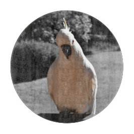 Nieuwsgierige Zwavelkuifkaketoe Snijplank