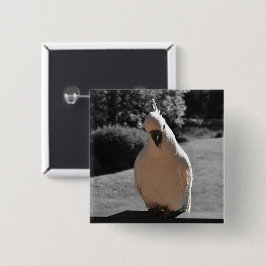 Nieuwsgierige Zwavelkuifkaketoe Vierkante Button 5,1 Cm