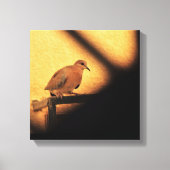 nieuwsgierigheid canvas afdruk (Voorkant)