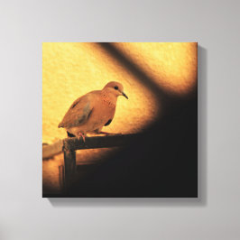 nieuwsgierigheid canvas afdruk