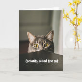 nieuwsgierigheid doodde de kat kaart (Gele Bloem)