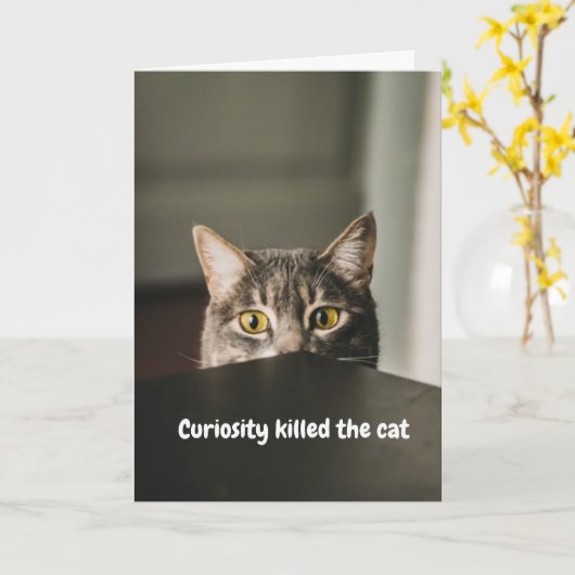 nieuwsgierigheid doodde de kat kaart (Gele Bloem)